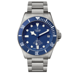 Tudor Pelagos M25600TB-0001 Titanium 42mm – VIP Version