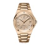 IWC Ingenieur Automatic 40mm – VIP Version