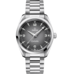 Omega Seamaster Railmaster 38 MM 235.10.38.20.06.001 38mm – VIP Version